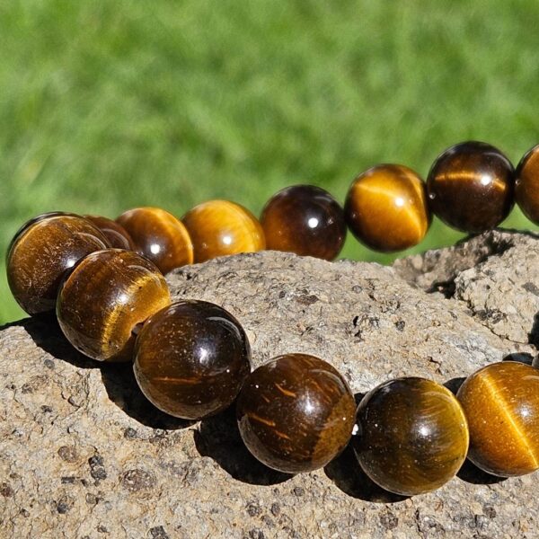 Tiger's Eye - Image 4